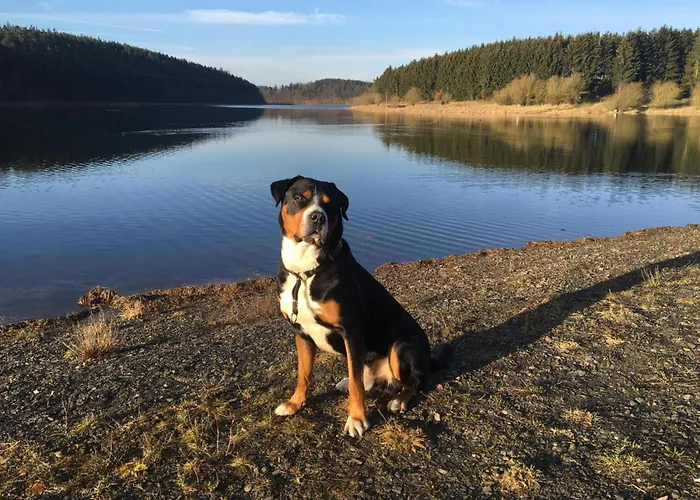 Tinyhaus 200 Zadelsdorf